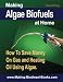 Making Algae Biofuels: How To Save Money on Gas and Heating Oil Using Algae
