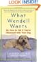 What Wendell Wants: Or, How to Tell if You're Obsessed with Your Dog