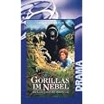 Gorillas im Nebel