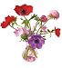 OOTS! Flat Flowers Originals Window Stickers, Anemone Pink