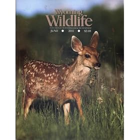 Wyoming Wildlife