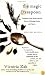 The Magic Teaspoon