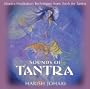 Sounds of Tantra: Mantra Meditation Techniques from Tools for Tantra