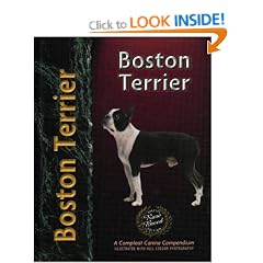 Boston Terrier (Pet love)
