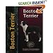 Boston Terrier (Pet Love)