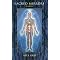 Alex Grey Books, DVD's, and More
