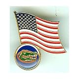 Florida Gators Flag Pin