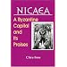 NICAEA: A Byzantine Capital and Its Praises (Archbishop Iakovos Library of Ecclesiastical and Historical Sources, No. 21)