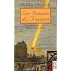 Der Sommer des Kometen: Ein historischer Kriminalroman