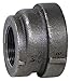 1" x 1/2" FNPT Eccentric Reducer Coupling
