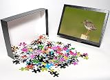 Photo Jigsaw Puzzle of Redshank - standing on wooden fence post from Ardea Wildlife Pets