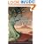 The Shadow Thieves (Cronus Chronicles)