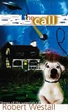 Call and Other Stories (Puffin Teenage Fiction)