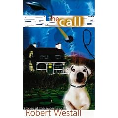 Call and Other Stories (Puffin Teenage Fiction)