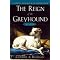 All About Greyhounds (adopt a greyhound!)