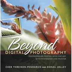 Beyond Digital Photography: Transforming Photos into Fine Art with Photoshop and Painter