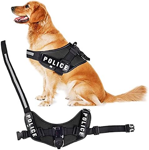 Fetch Dog Harness , DUALANE Camera Chest Support Shoulder Strap Adjustable Belt Mount Holder Kit for Gopro Hero 4 3+ 3 Xiaomi Yi Sjcam Sports Action Camera Video Supports &amp; Stabilizers Black