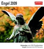 Engel 2009: Kalender mit 53 heraustrennbaren Postkarten