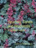 Heuchera, Tiarella and Heucherella: A Gardener's Guide