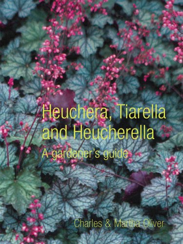 Heuchera, Tiarella and Heucherella: A Gardener's Guide