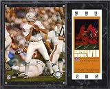 Bob Griese Miami Dolphins 12x15 Super Bowl VII Plaque with Replica Ticket