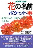 花の名前 ポケット事典―身近にある花、花屋さんの花がわかる本 花の名前 ポケット事典―身近にある花、花屋さんの花がわかる本