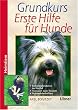 Grundkurs Erste Hilfe f�r den Hund (Heimtiere): Sofortma�nahmen im Notfall. Bergen, Lagern, Verbinden. Die Notf�lle von A bis Z