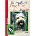 Grundkurs Erste Hilfe f�r den Hund (Heimtiere): Sofortma�nahmen im Notfall. Bergen, Lagern, Verbinden. Die Notf�lle von A bis Z