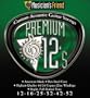 Musician's Friend Premium 12's 80/20 Light Acoustic Guitar Strings