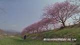 �ˤۤ�Τ����ե���� ���� [DVD]
