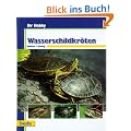 Wasserschildkr�ten, Ihr Hobby