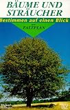 B&auml;ume und Str&auml;ucher - Bestimmen auf einen Blick mit Faltplan - Michael Lohmann