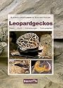 Leopardgeckos: Pflege, Zucht, Erkrankungen, Farbvarianten