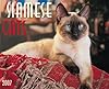 Siamese Cats 2007 Calendar