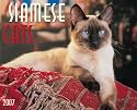Siamese Cats 2007 Calendar