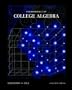 Fundamentals of College Algebra (with CD-ROM, iLrn Tutorial, and InfoTrac)
