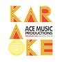Party In The USA (In the style of 'Miley Cyrus') [No Backing Vocals] [Explicit]