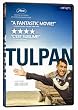 Tulpan