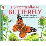 From Caterpillar to Butterfly  (Let's-Read-and-Find-Out Science, Stage 1)