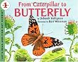 From Caterpillar to Butterfly  (Let's-Read-and-Find-Out Science, Stage 1)