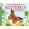 From Caterpillar to Butterfly 