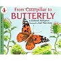 From Caterpillar to Butterfly (Lets read & find out science stage 1)