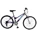 Mountain bike? uncategorized Mountain bike?