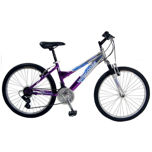 Mongoose Montana Girls' Mountain Bike (24-Inch Wheels, Pink/Silver)