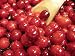 Thanksgiving and Turkey Recipes