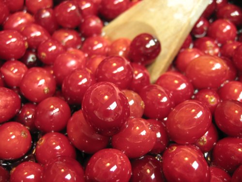 Thanksgiving and Turkey Recipes