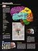 The Human Brain Poster Series - Laminated, 5 Poster Set. Brain Facts, Brain Structure, Brain Health & Safety, Brain Functions, and Brain Neurons.