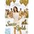 Suzie Gold [DVD] [2004]
