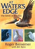 At Water`s Edge: The Birds of Florida