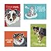 Pop Doggie Australian Shepherd Refrigerator Magnets with Funny Sayings (Set of 4)